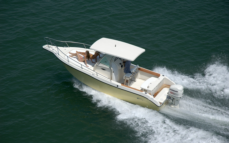 Fishing Raptor 265 Saint Tropez