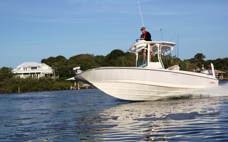 Boston Whaler 240 Dauntless PRO