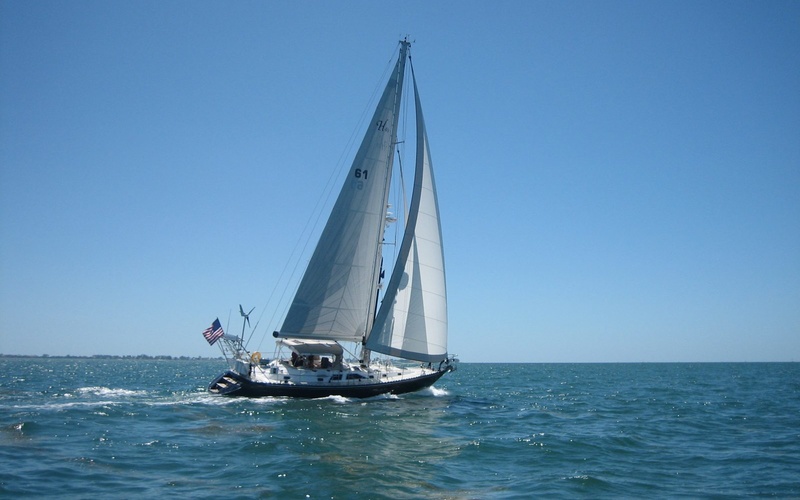 Hylas  H49