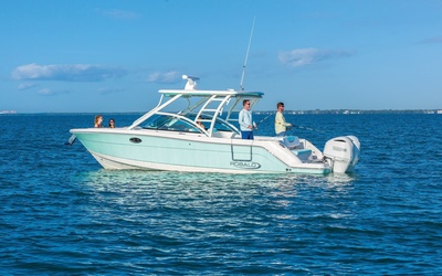 Robalo R317