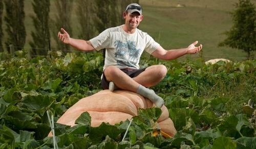 This pumpkin is about to turn into a "boat".