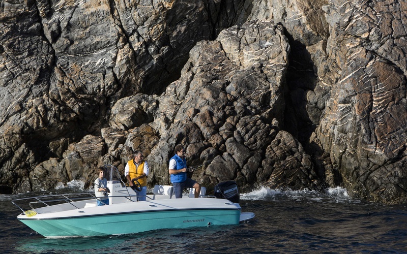 Bayliner Element CC6