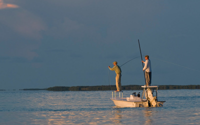 Dragonfly Grand Slam 17′