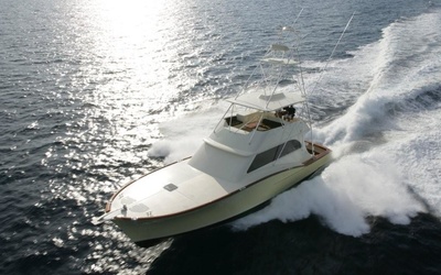 Vicem Sportfish 63