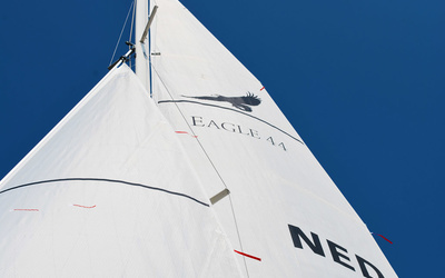 Leonardo Eagle 44