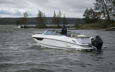 Flipper 800 DC