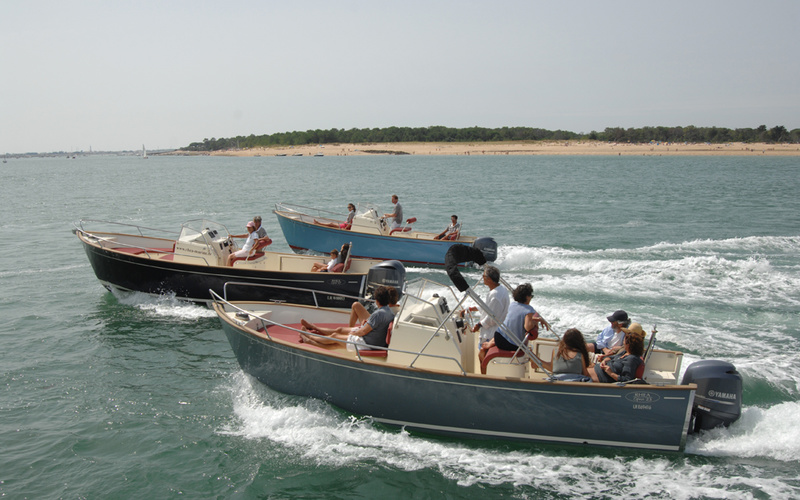Rhea 23 Open