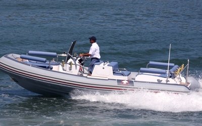Novurania Launch 600 