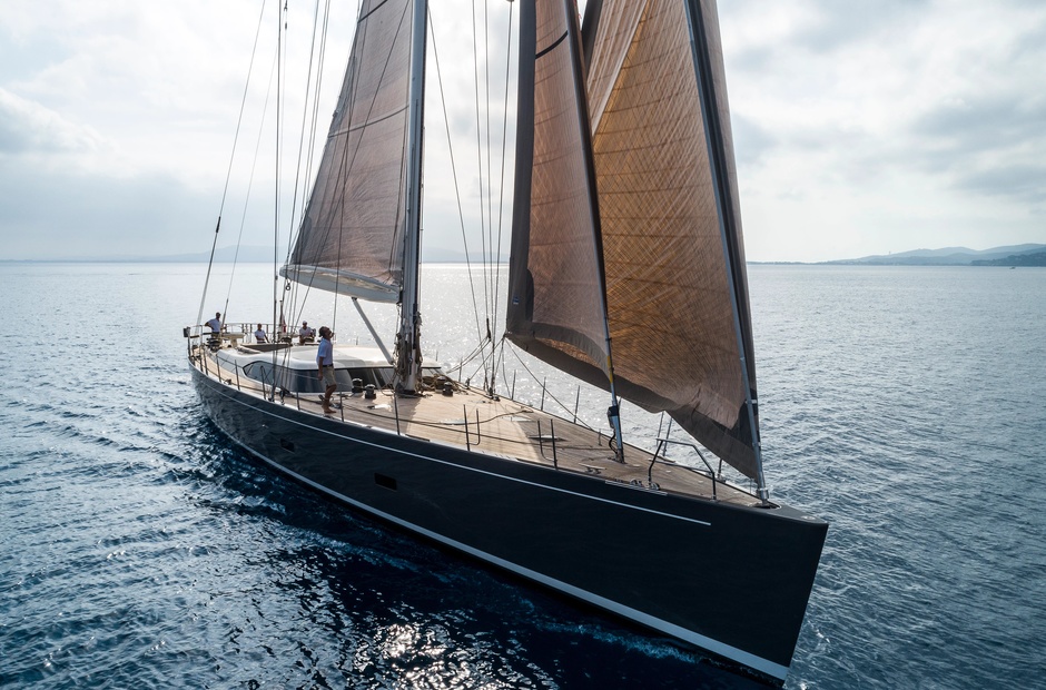 Southern Wind Acaia
