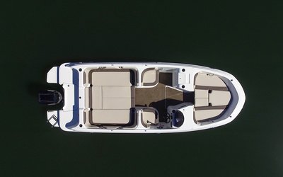 Bayliner Element E21
