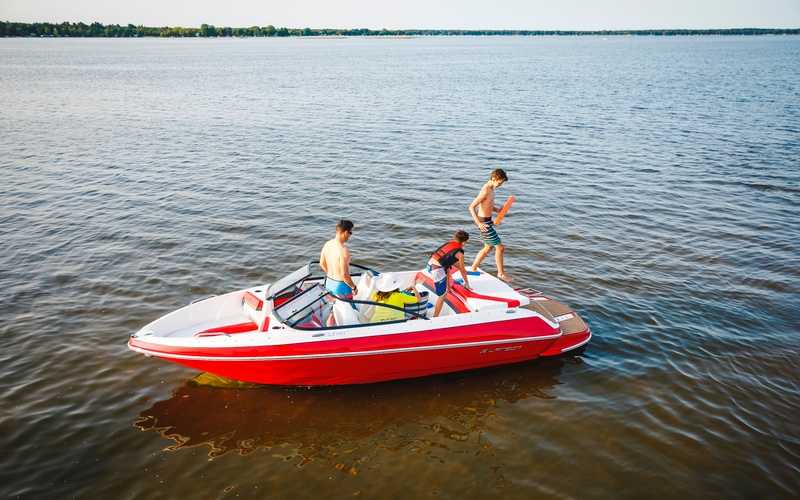 Larson  LX 195 IO
