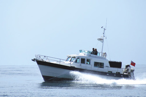 Hardy 36