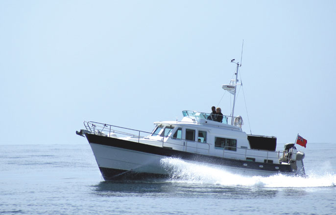 Hardy 36