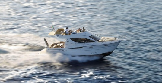 Sessa Dorado 36