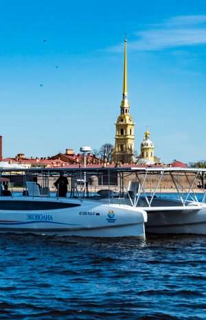 Питер накрыло эковолной