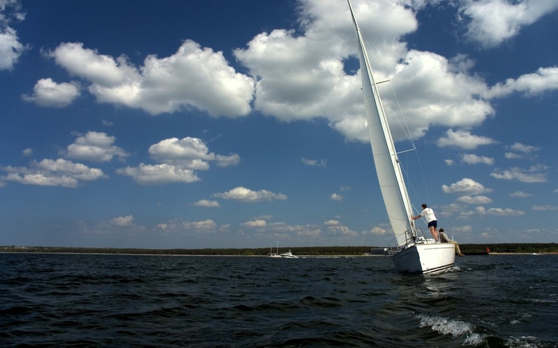 Ridas 31