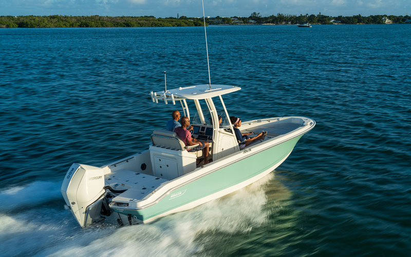 Boston Whaler 250 Dauntless
