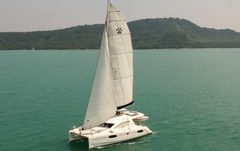 Leopard 39