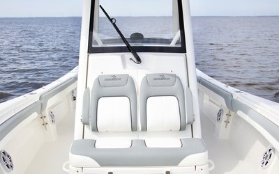 Regulator 31