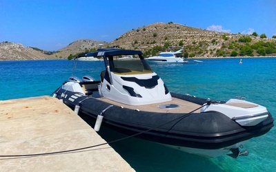 Grginic Shark 38