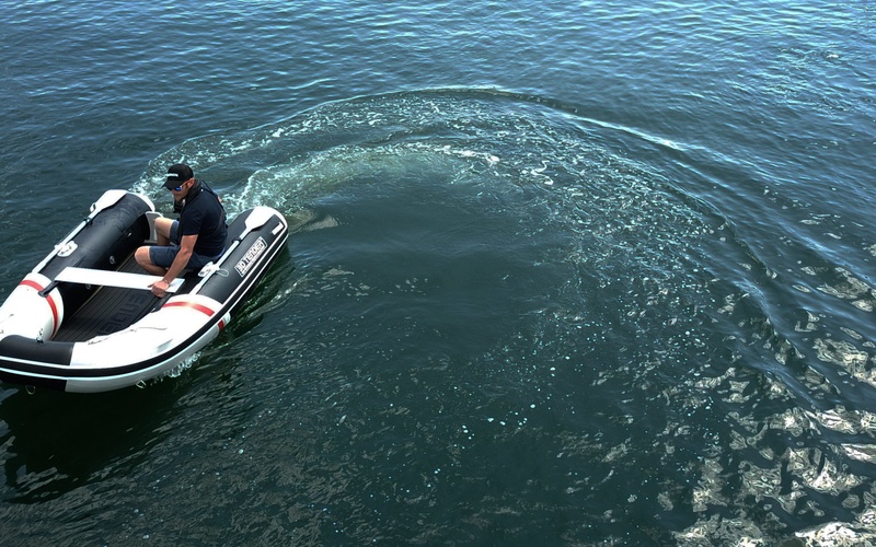 3D Tender Twin Fastcat 200