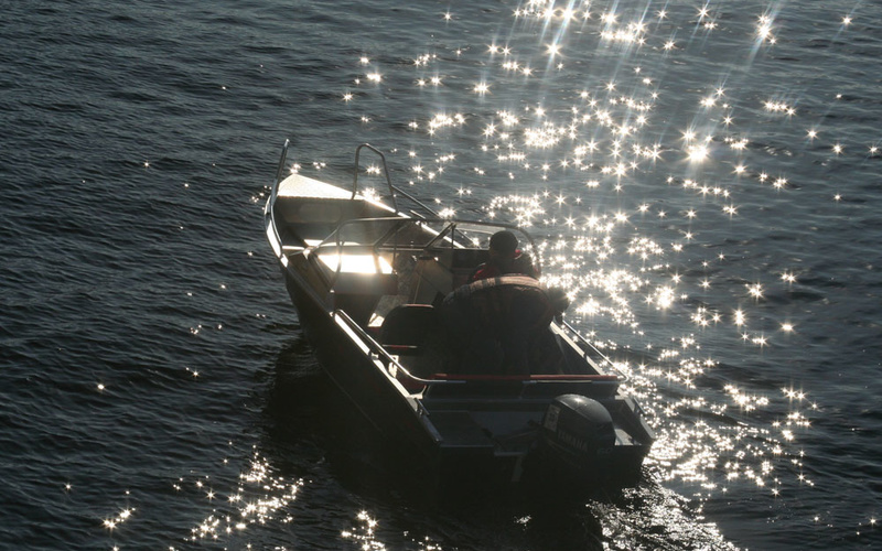 Tuna boats 460 DC AL