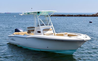 Pioneer Islander 222