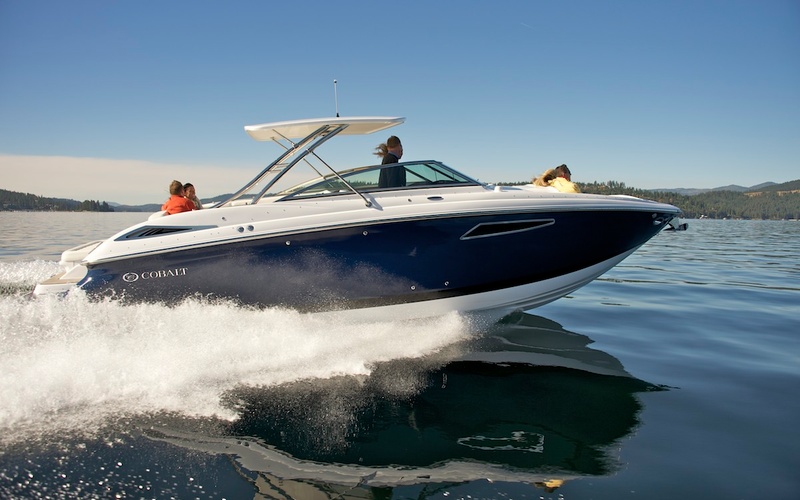 Cobalt 336