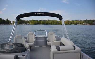 Sylvan Mirage Fish 8522