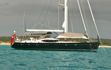 Oyster Tiger