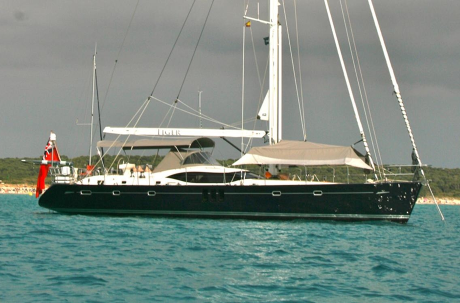 Oyster Tiger