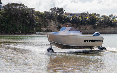 Sealegs 6.1m Alloy