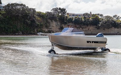 Sealegs 6.1m Alloy