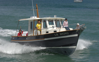 Rhea 800 Timonier