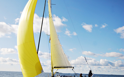 Finngulf FG331