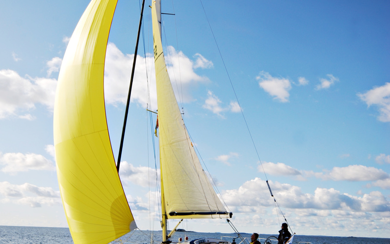 Finngulf FG331