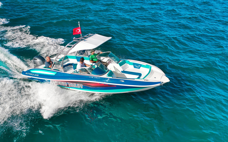 Mercan Butterfly 24-OB