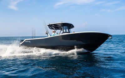 TideWater 282 CC Adventure Bluewater