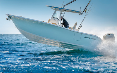 Sea Pro 259 Deep V