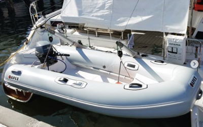 Apex A-11 RIB