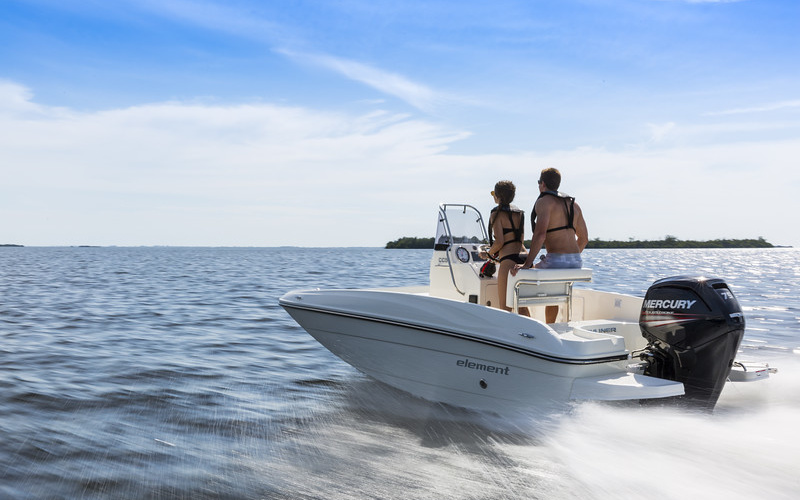 Bayliner Element CC5