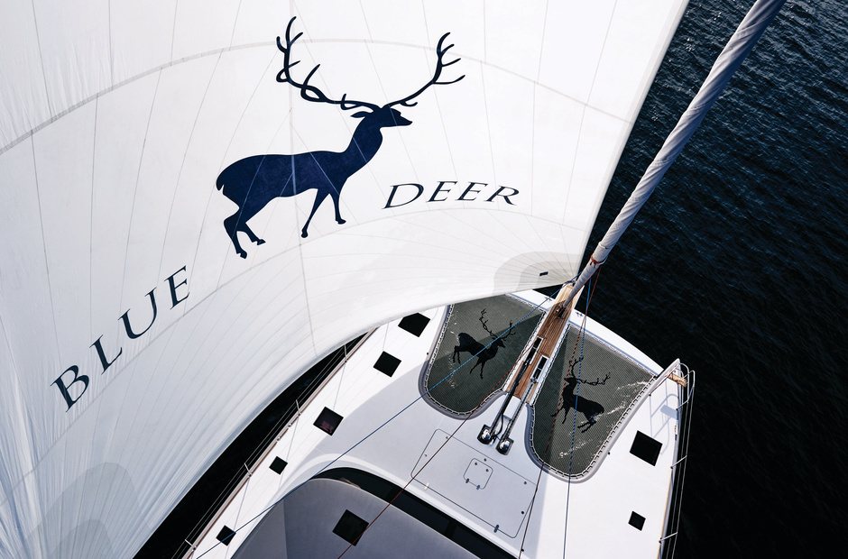 Sunreef Blue Deer