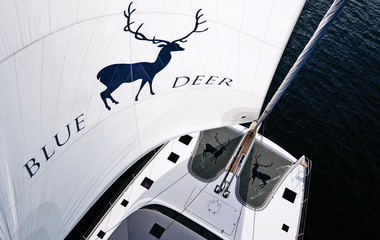 Sunreef Blue Deer