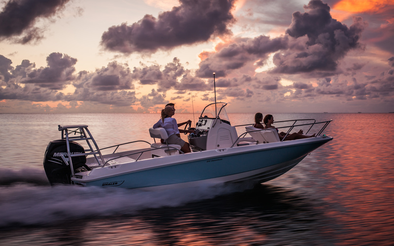 Boston Whaler 210 Dauntless