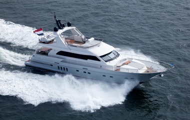 Van der Valk Grey Falcon