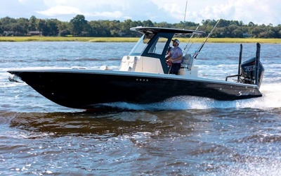 Scout 281 XSS