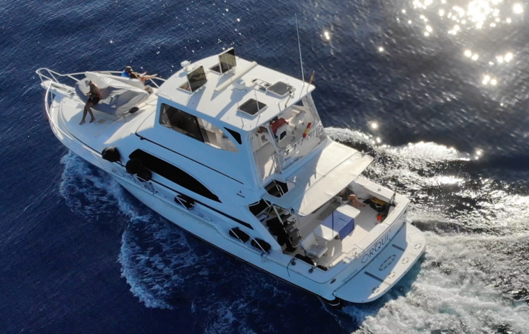 Bertram 510 (2004)