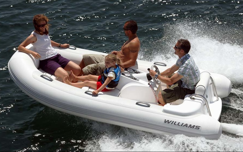 Williams Turbojet 325