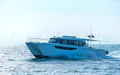 SilverCat 46LUX