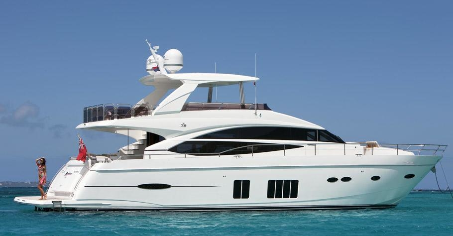 Princess Panthera Cove